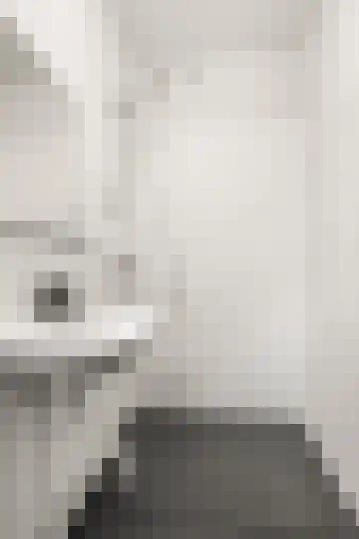 De Zoom 36 Ede thumbnail 23