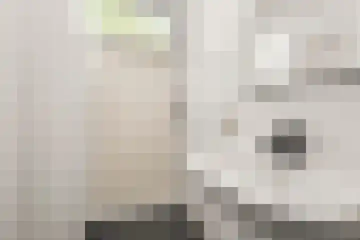De Zoom 36 Ede thumbnail 24