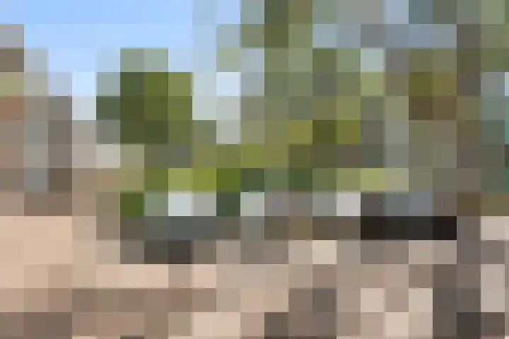 De Zoom 36 Ede thumbnail 6
