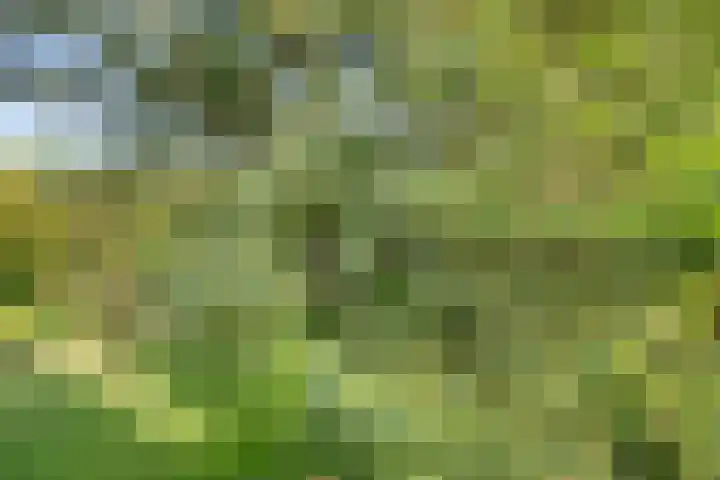 De Zoom 36 Ede thumbnail 7