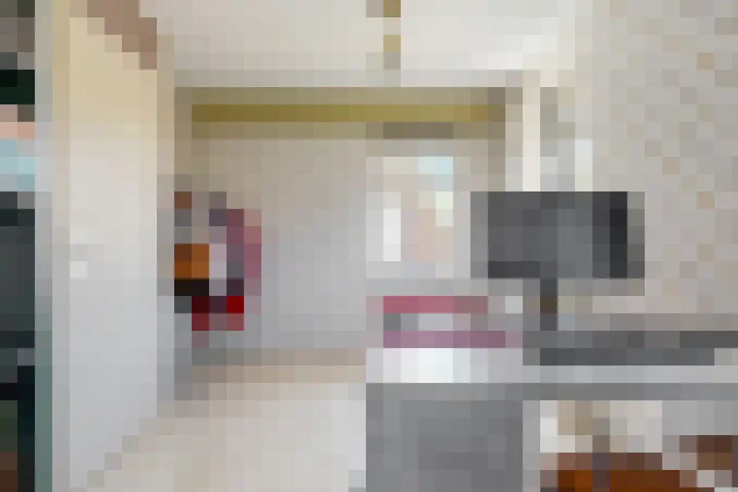 de Zoom 37 Woerden thumbnail 18