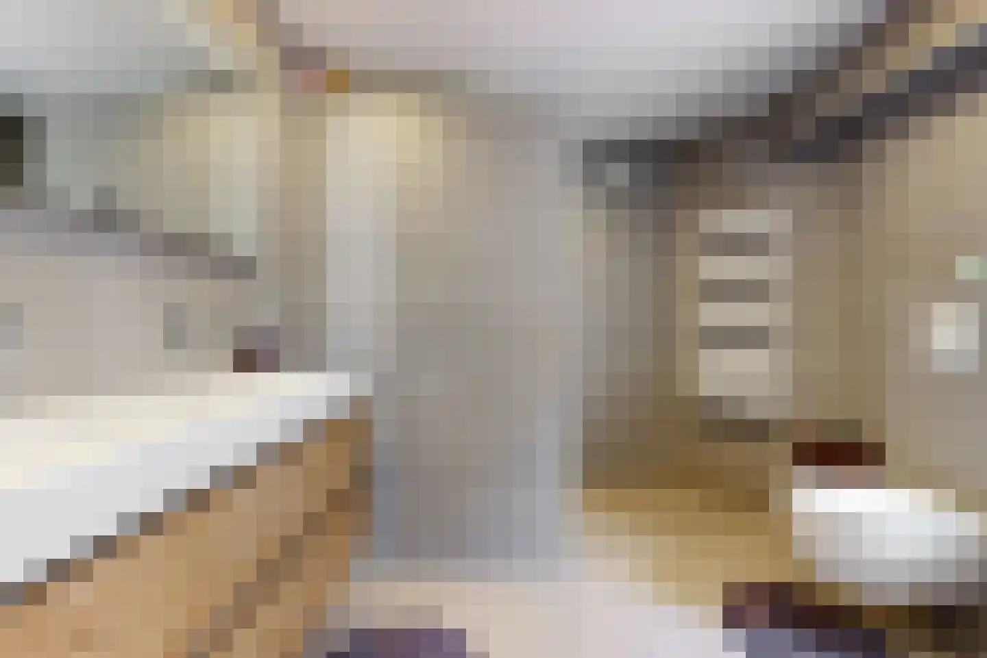 de Zoom 37 Woerden thumbnail 19