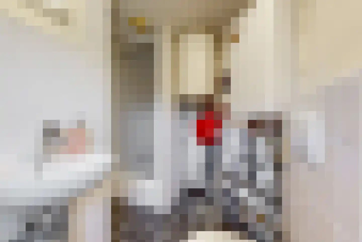 de Zoom 37 Woerden thumbnail 26