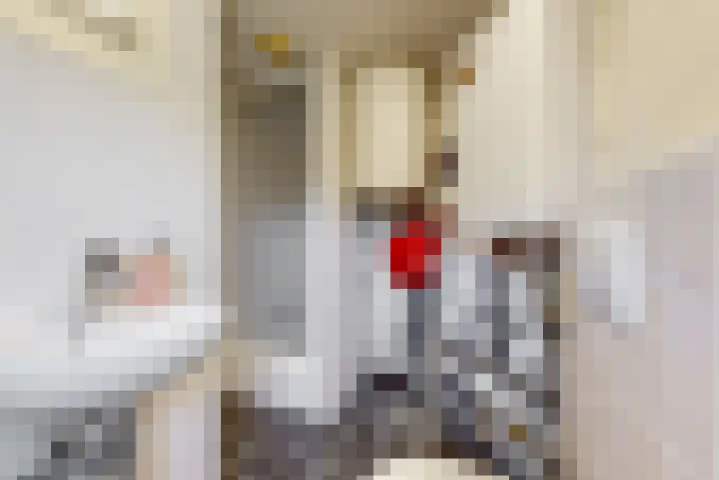 de Zoom 37 Woerden thumbnail 26