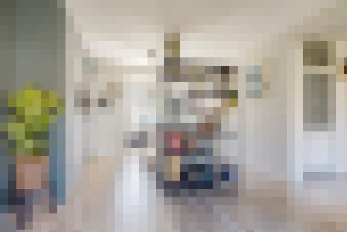 de Zoom 37 Woerden thumbnail 8
