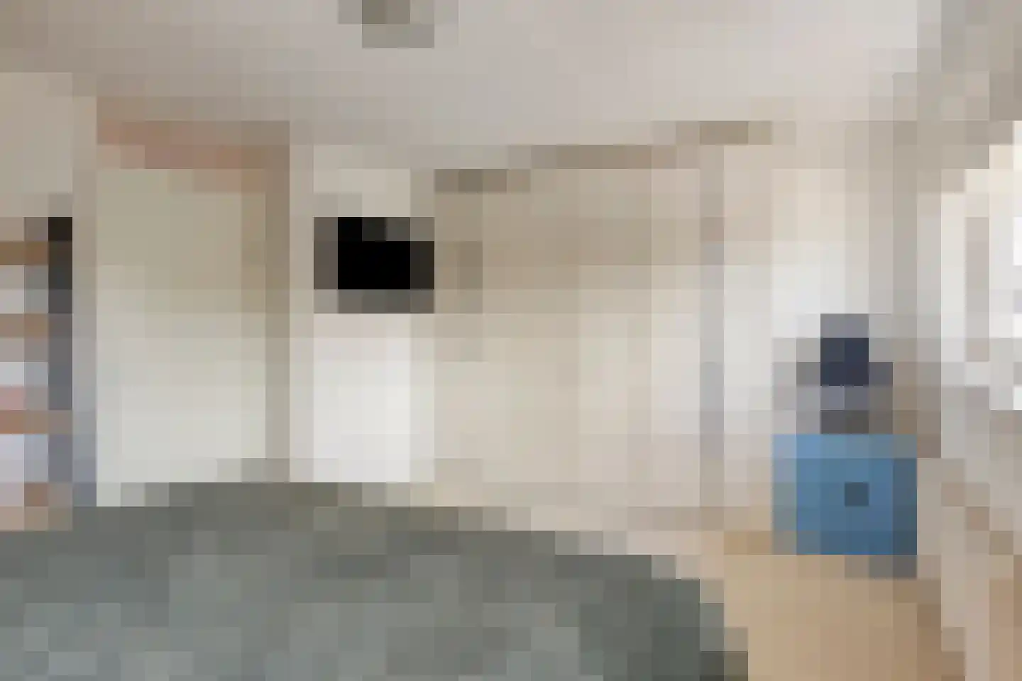 De Zoutman 3 Oostwoud thumbnail 24