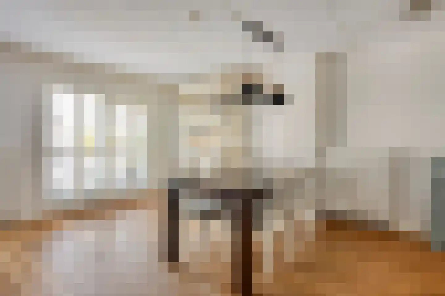 De Zoutman 3 Oostwoud foto 3