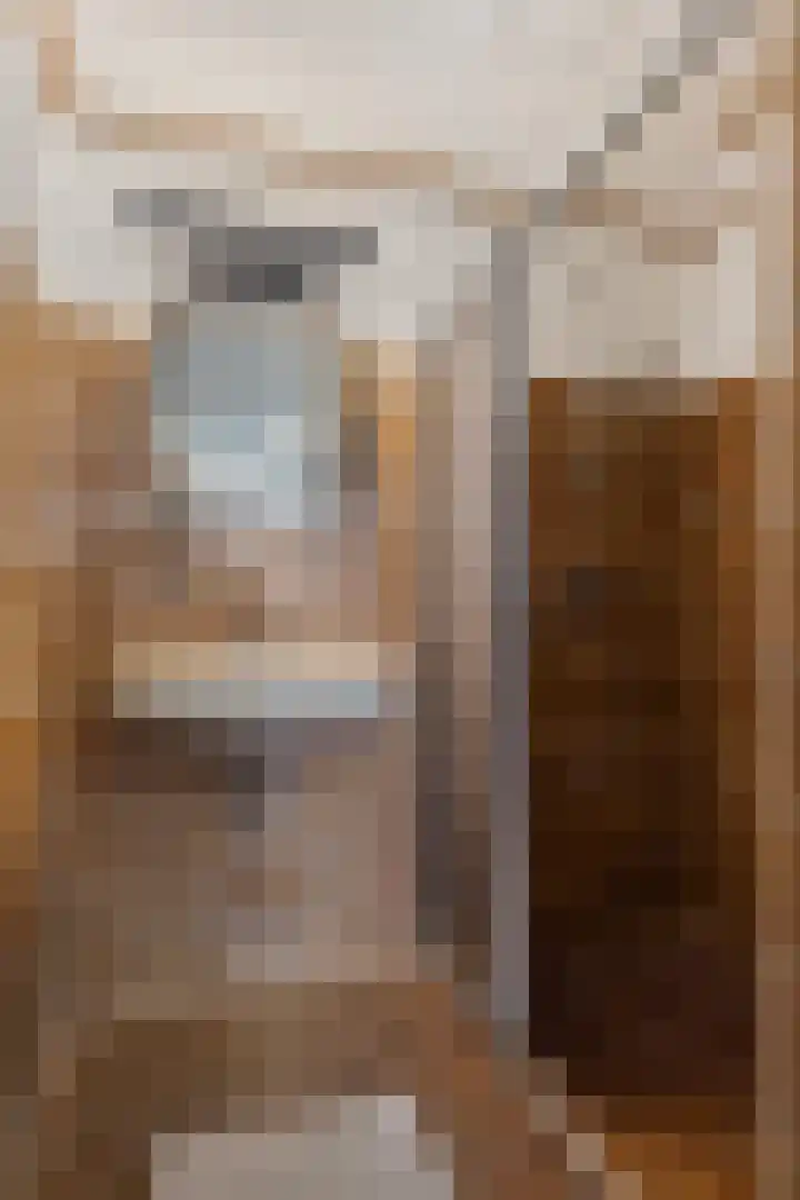 De Zuid 11 Dronten thumbnail 31