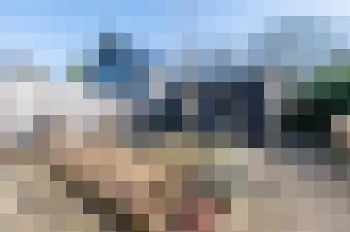 De Zuid 11 Dronten thumbnail 7