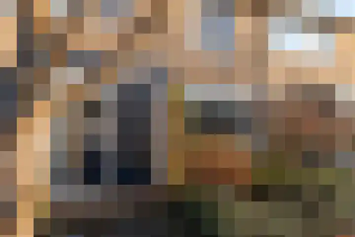 De Zuid 11 Dronten thumbnail 8