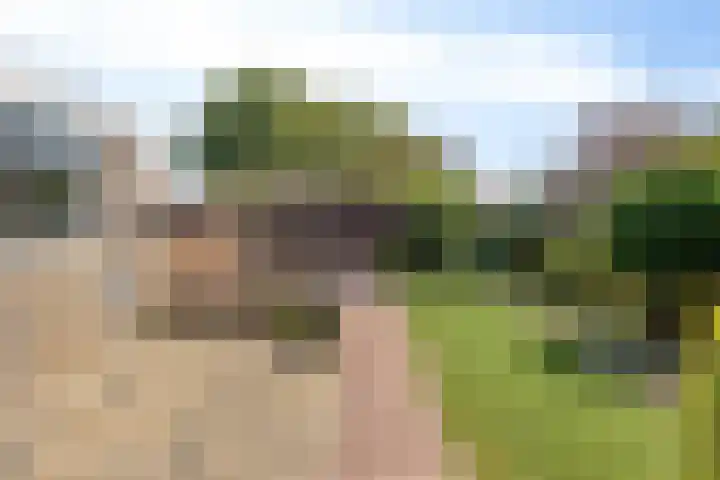De Zuid 17 Dronten thumbnail 29