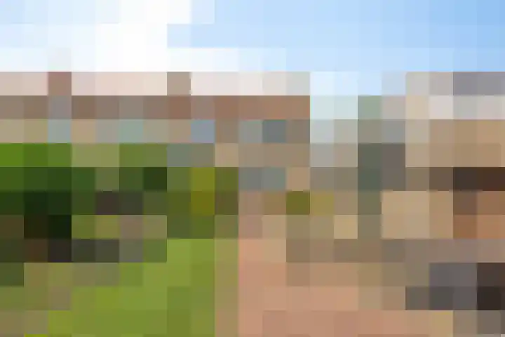 De Zuid 17 Dronten thumbnail 31