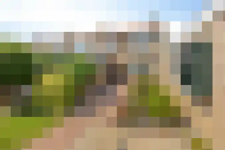 De Zuid 17 Dronten thumbnail 32