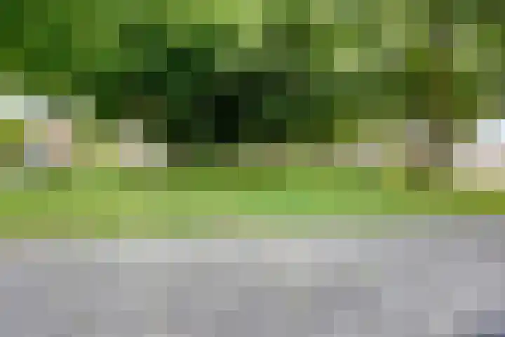 De Zuid 17 Dronten thumbnail 36