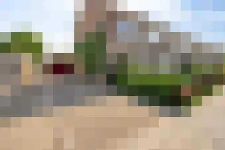 De Zuid 17 Dronten thumbnail 5