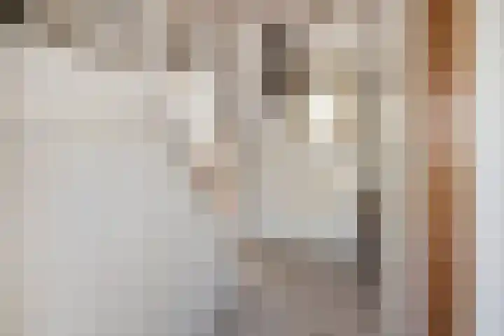 De Zuid 17 Dronten thumbnail 6