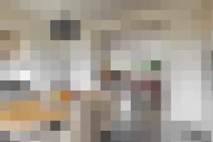 De Zuid 20 Midwoud thumbnail 12
