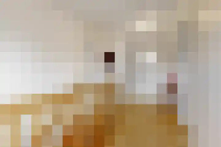 De Zuid 20 Midwoud thumbnail 20