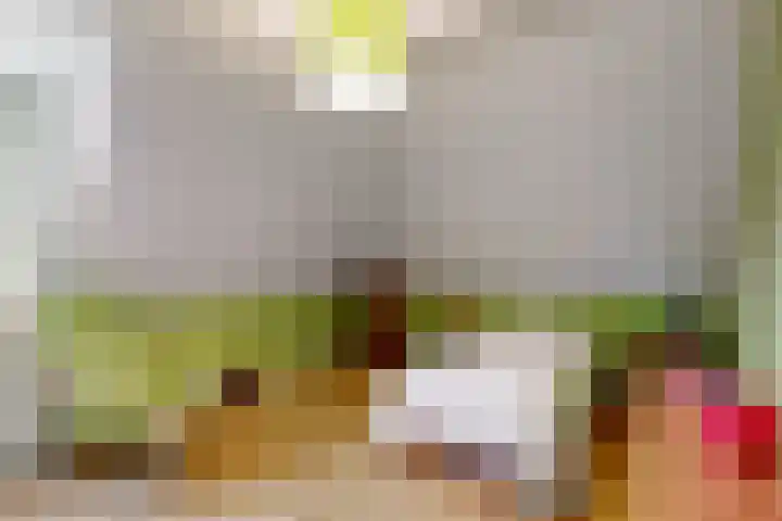 De Zuid 20 Midwoud thumbnail 21