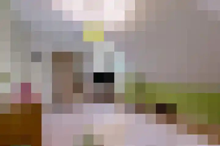 De Zuid 20 Midwoud thumbnail 22