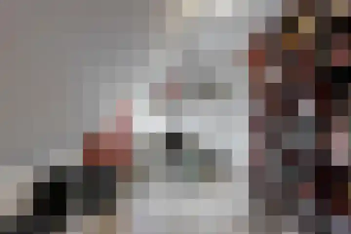 De Zuid 20 Midwoud thumbnail 29