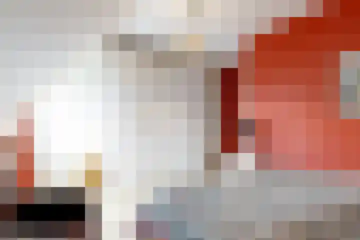 De Zuid 20 Midwoud thumbnail 31