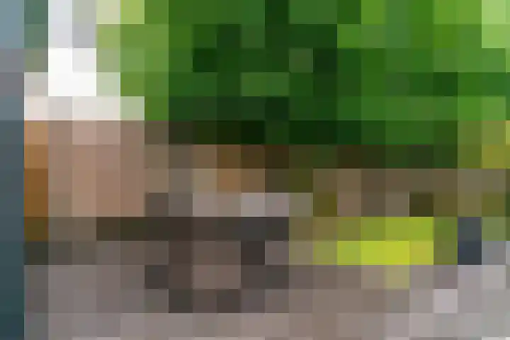 De Zuid 20 Midwoud thumbnail 39