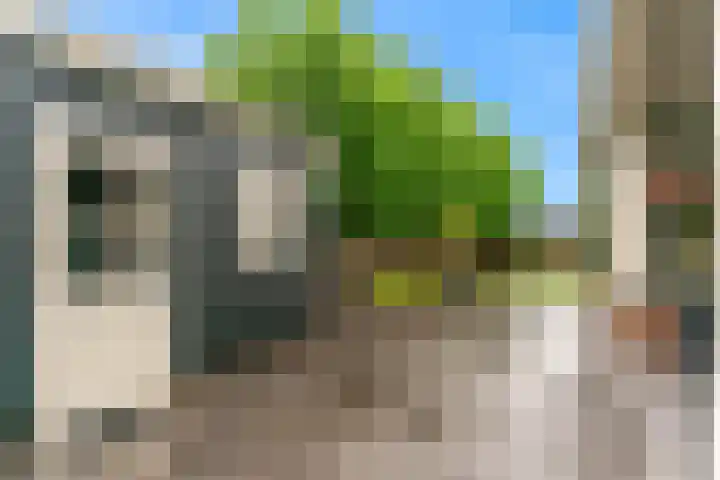 De Zuid 20 Midwoud thumbnail 40