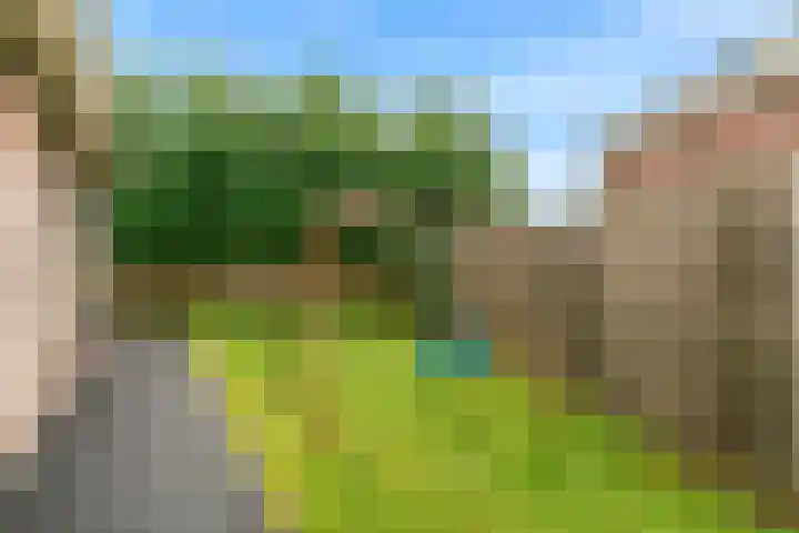 De Zuid 20 Midwoud thumbnail 41