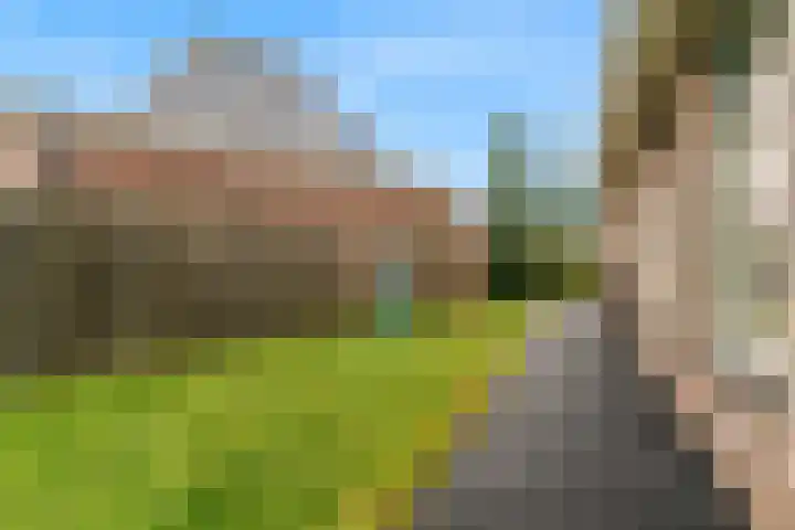 De Zuid 20 Midwoud thumbnail 42