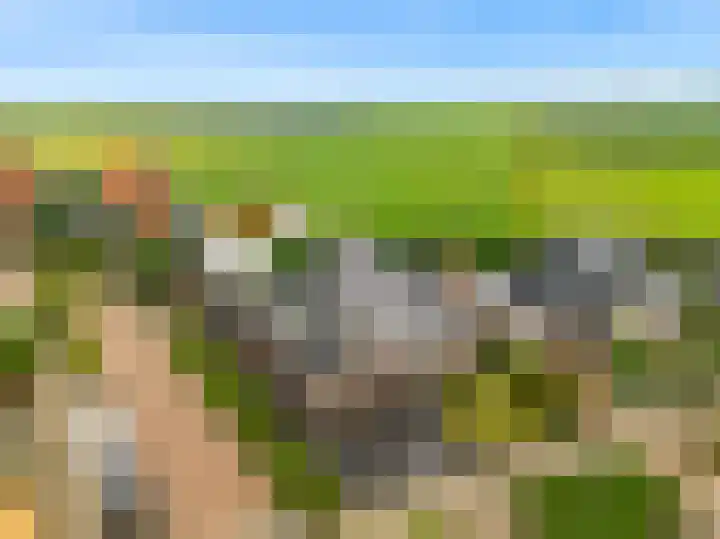 De Zuid 20 Midwoud thumbnail 45