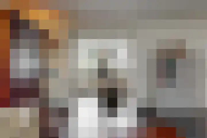 De Zuid 20 Midwoud thumbnail 6