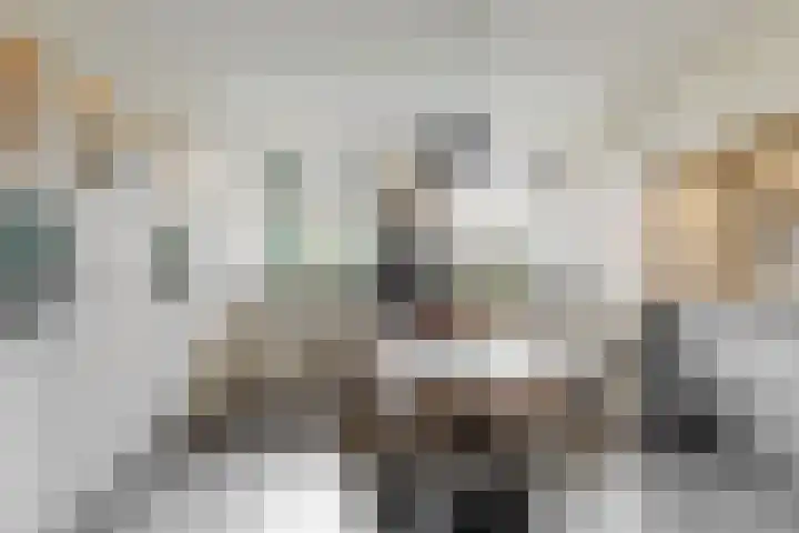 De Zuid 20 Midwoud thumbnail 7