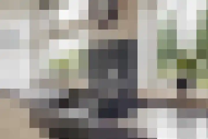 De Zuid 20 Midwoud thumbnail 8
