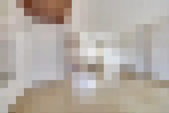 De Zuid 21 Dronten thumbnail 11