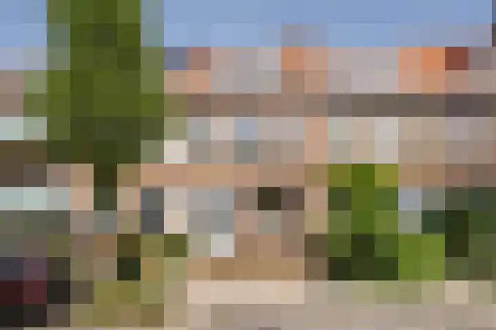 De Zuid 21 Dronten thumbnail 13