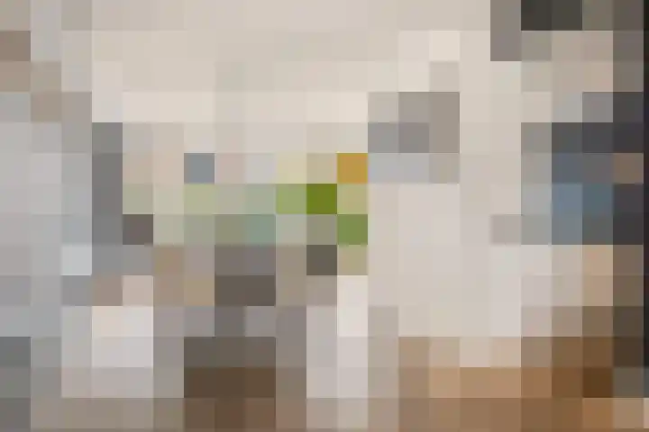 De Zuid 21 Dronten thumbnail 18