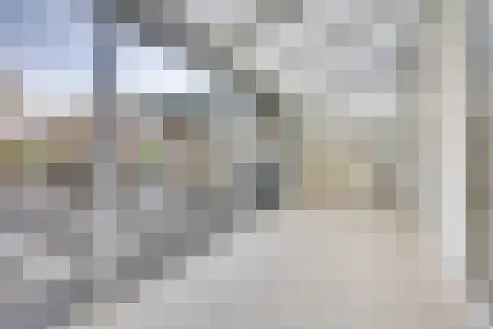 De Zuid 21 Dronten thumbnail 19