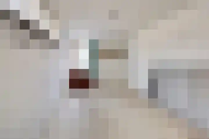 De Zuid 21 Dronten thumbnail 20