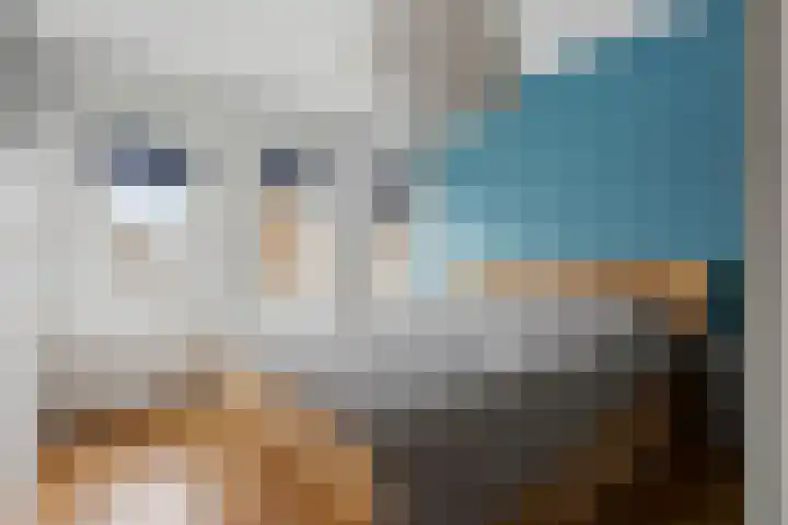 De Zuid 21 Dronten thumbnail 21