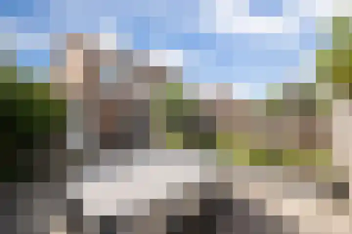 De Zuid 21 Dronten thumbnail 26
