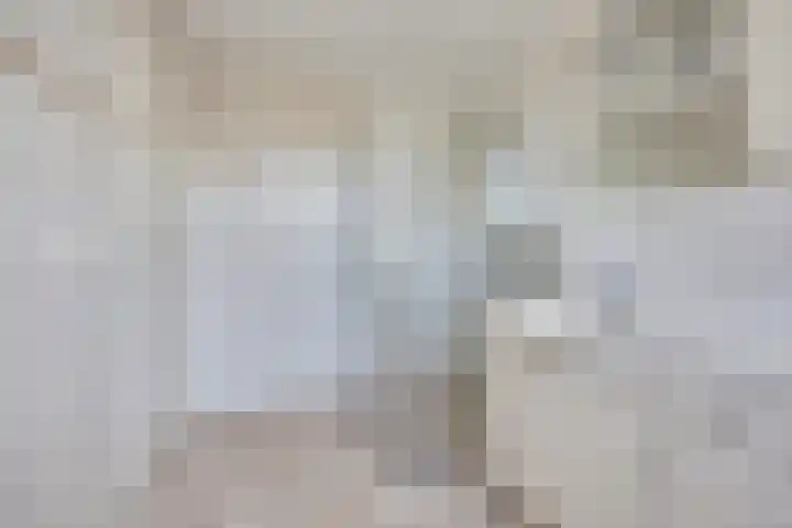 De Zuid 21 Dronten thumbnail 32