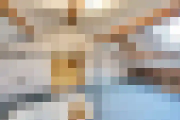 De Zuid 21 Dronten thumbnail 33