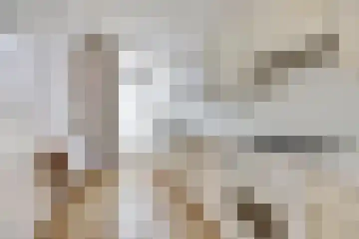 De Zuid 21 Dronten thumbnail 4