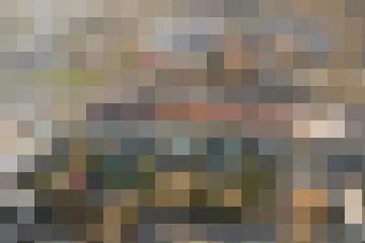 De Zuid 21 Dronten thumbnail 5