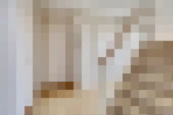 De Zuid 21 Dronten thumbnail 8