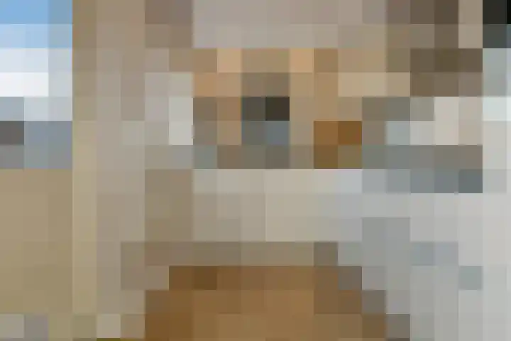 De Zuiling 100 Elst thumbnail 13