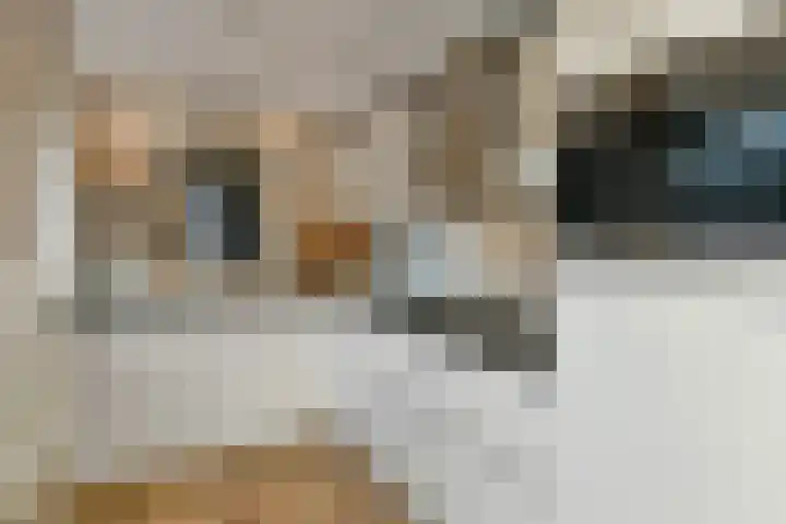 De Zuiling 100 Elst thumbnail 14