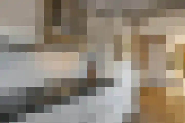 De Zuiling 100 Elst thumbnail 16