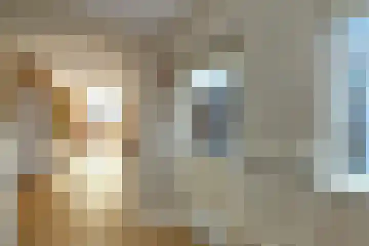 De Zuiling 100 Elst thumbnail 17